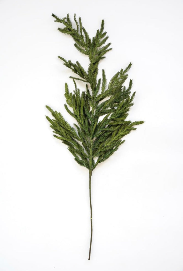 Natural touch Norfolk pine spray - Greenery MarketgreeneryMTX58506