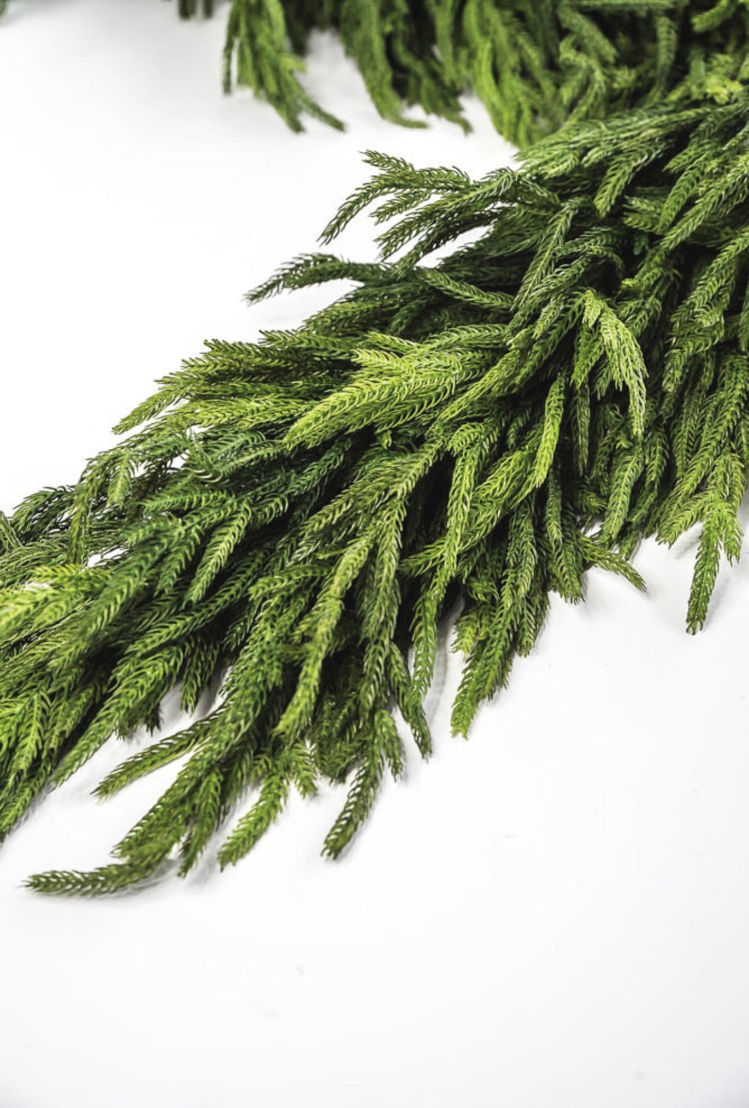 Natural touch thick norfolk garland 72” x 16” - Greenery MarketGarlandMTX73277