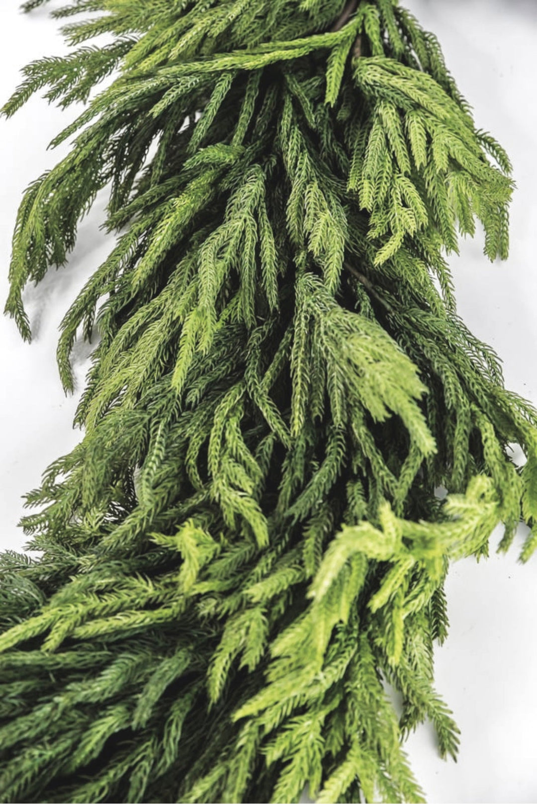 Natural touch thick norfolk garland 72” x 16” - Greenery MarketGarlandMTX73277