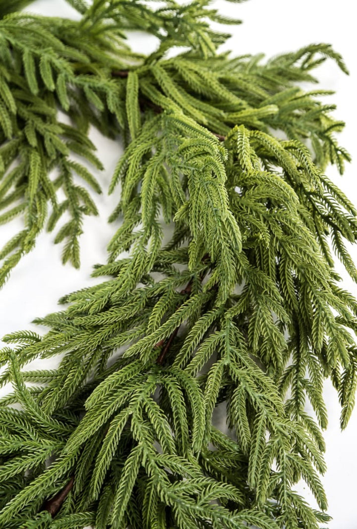 Norfolk pine garland 65” - Greenery Market2844036GR