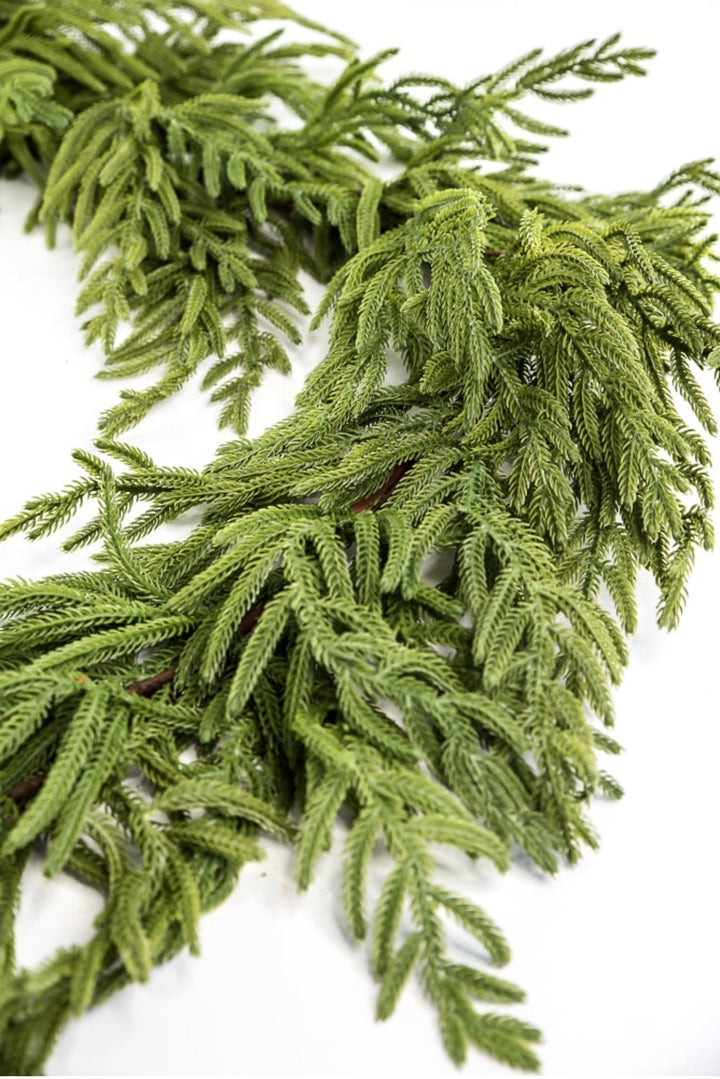 Norfolk pine garland 65” - Greenery Market2844036GR