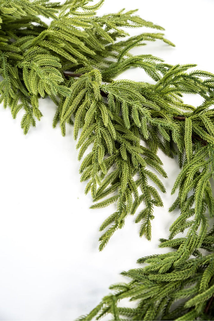 Norfolk pine garland 65” - Greenery Market2844036GR