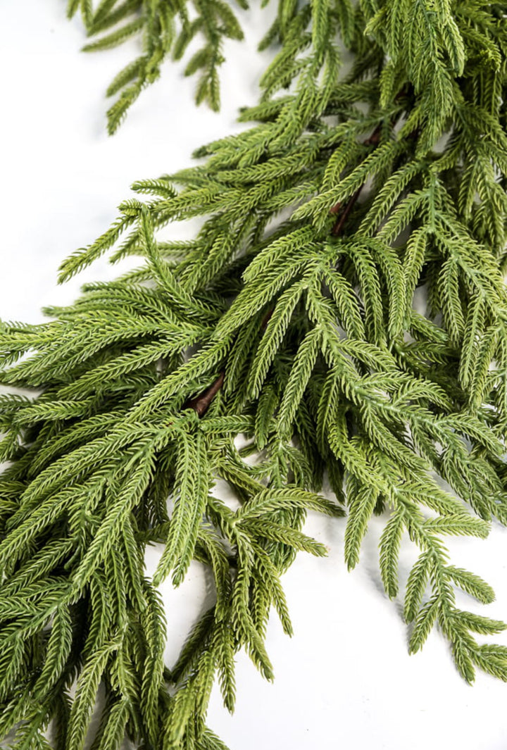 Norfolk pine garland 65” - Greenery Market2844036GR