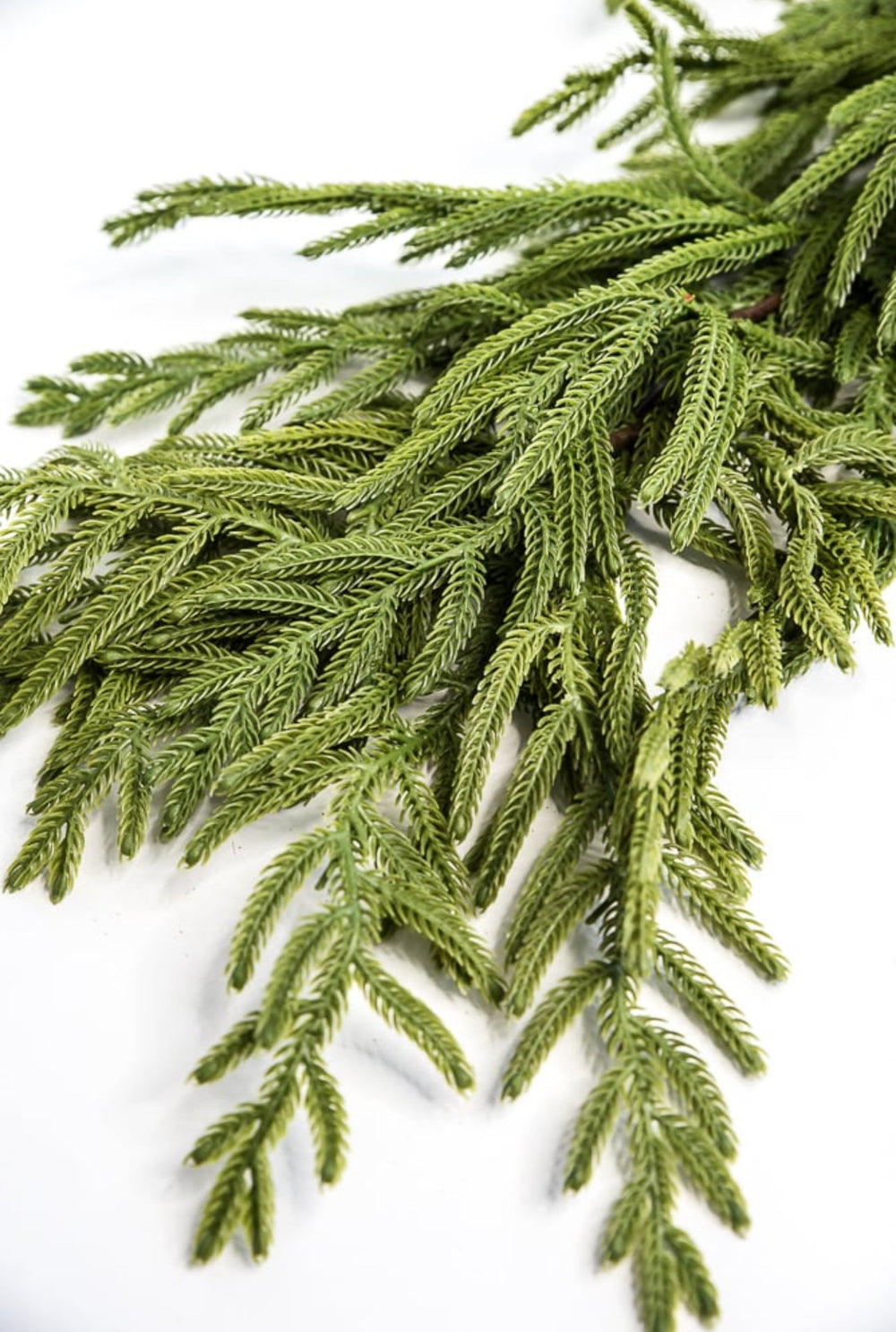 Norfolk pine garland 65” - Greenery Market2844036GR