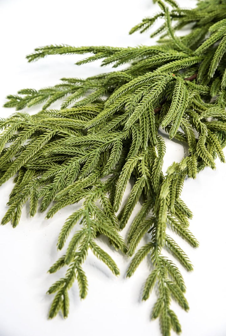 Norfolk pine garland 65” - Greenery Market2844036GR