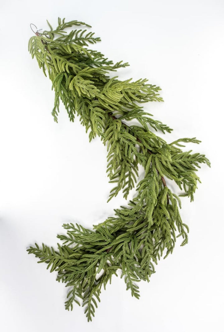 Norfolk pine garland 65” - Greenery Market2844036GR
