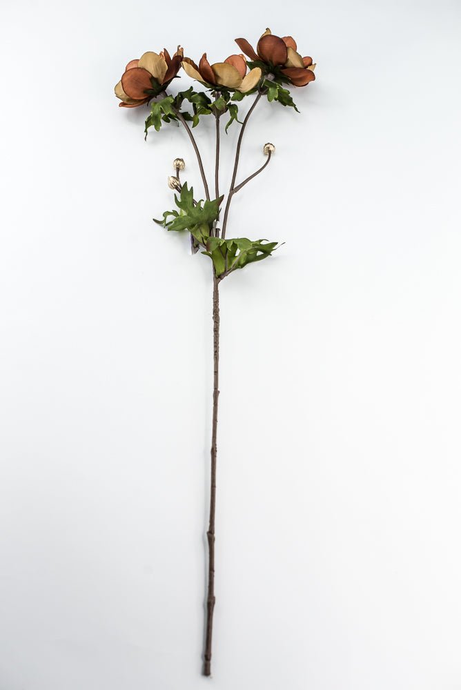 Nutmeg Glamour Velvet Anemone Spray - 29" - Greenery MarketXF660NUT