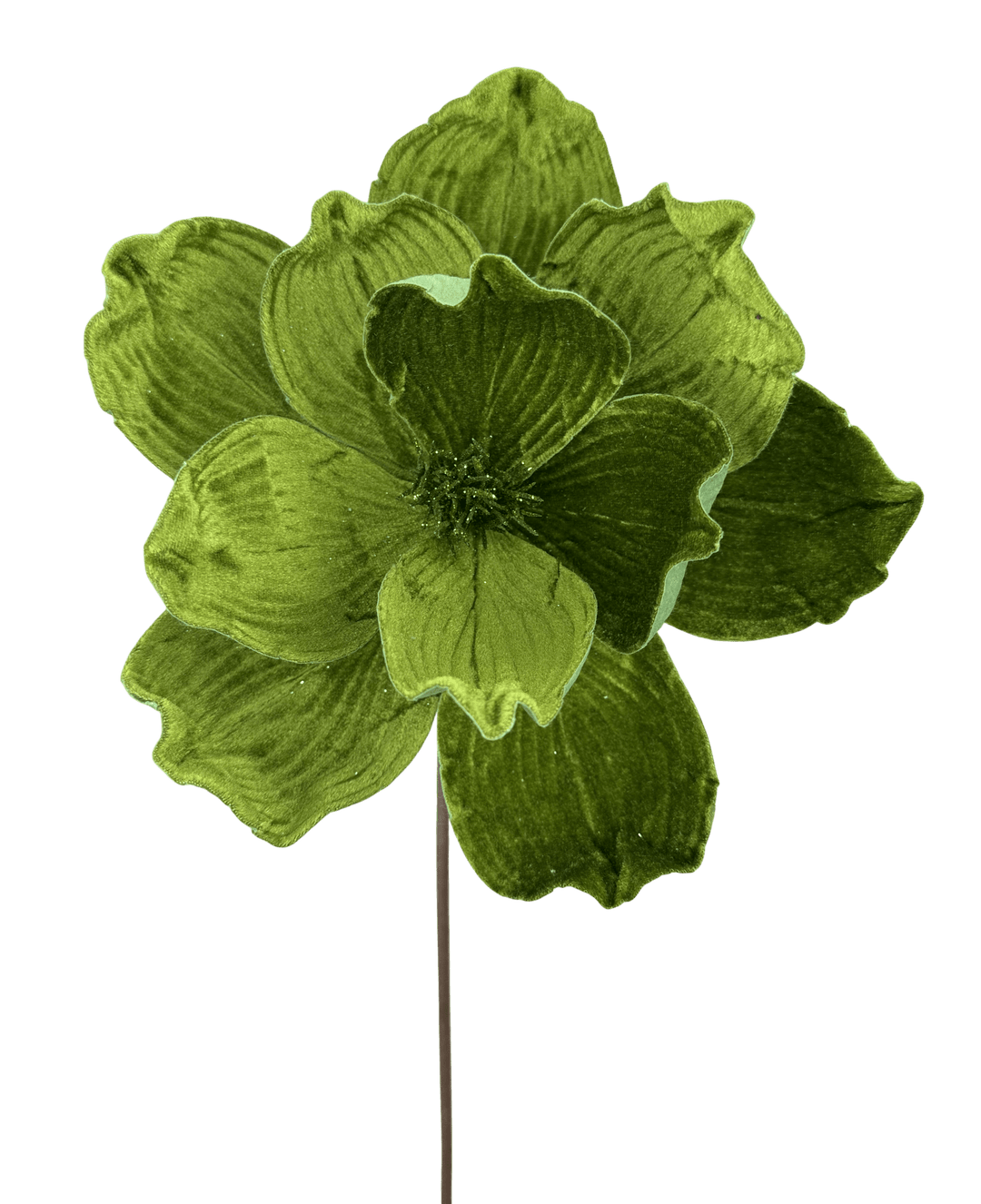 Olive Magnolia Stem - Greenery Market86611OLIVE