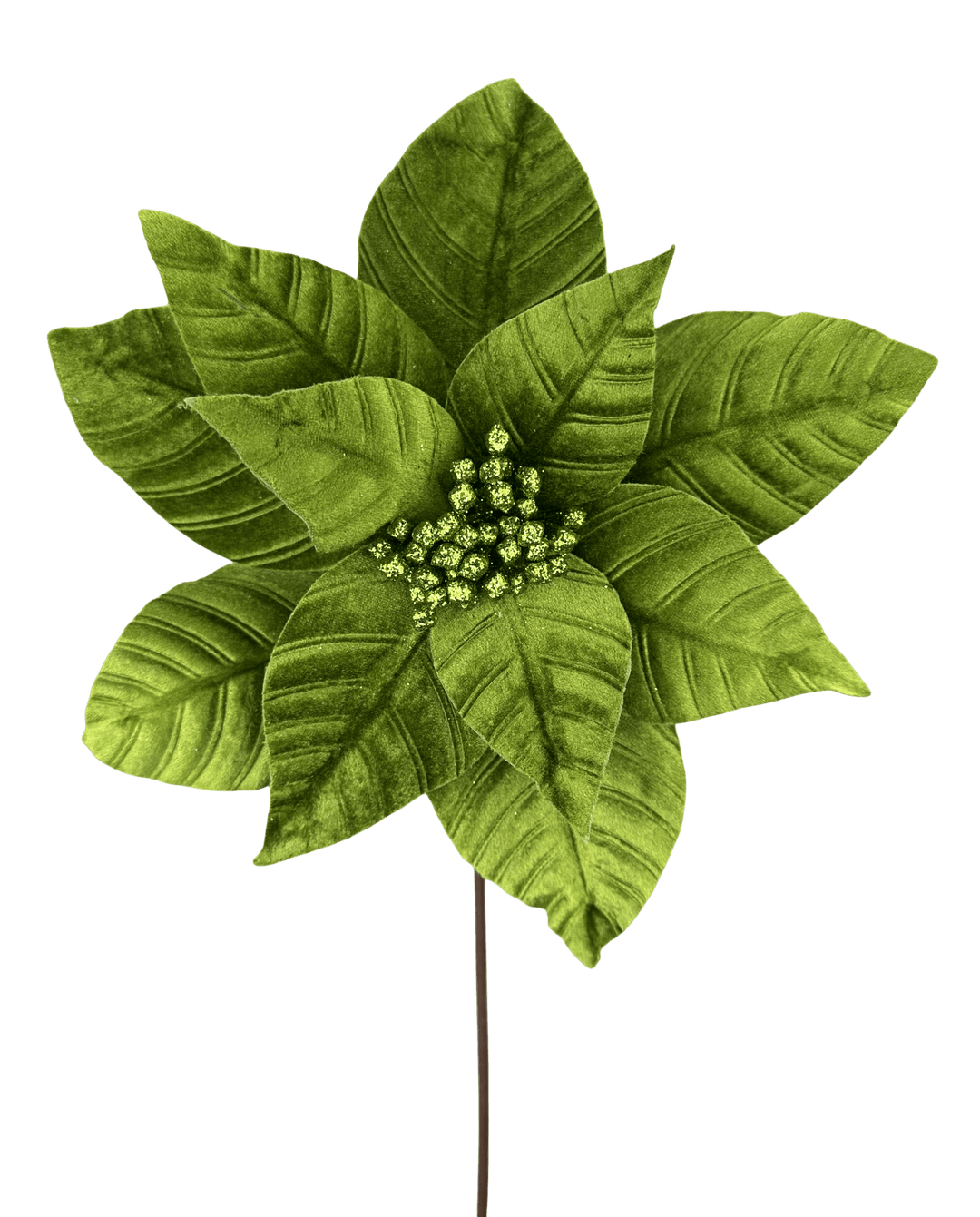 Olive Poinsettia Stem - Greenery Market86612OLIVE