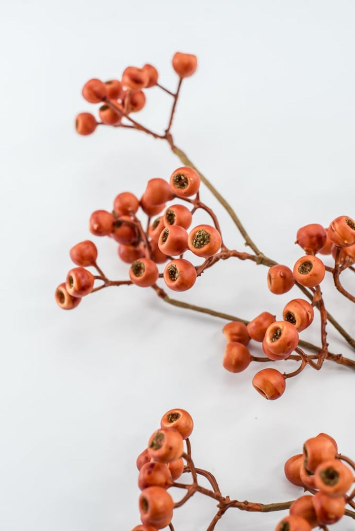 Orange Berry Spray - Greenery Market57213OR