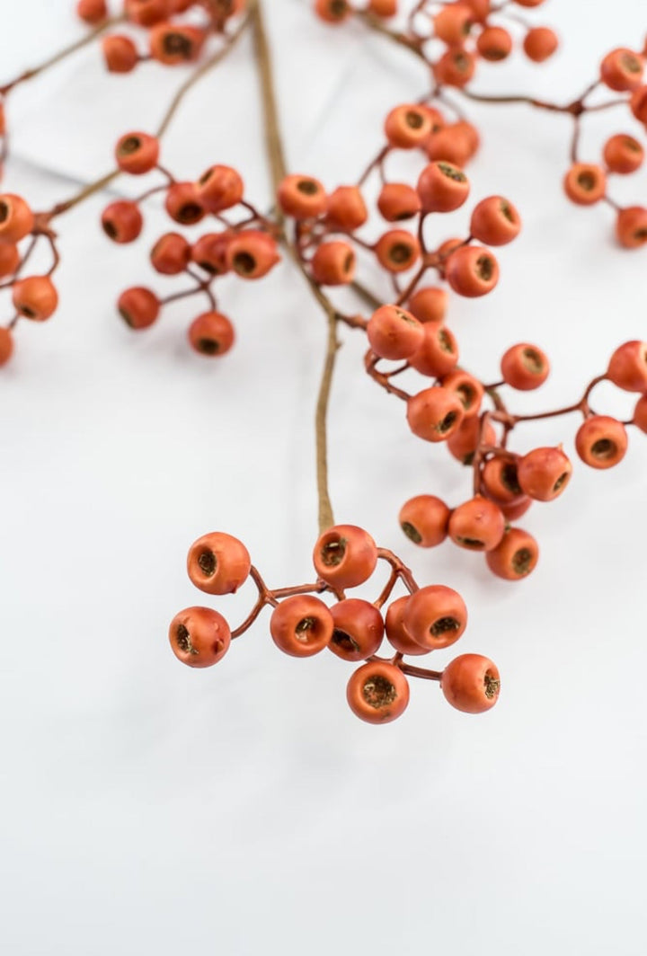 Orange Berry Spray - Greenery Market57213OR