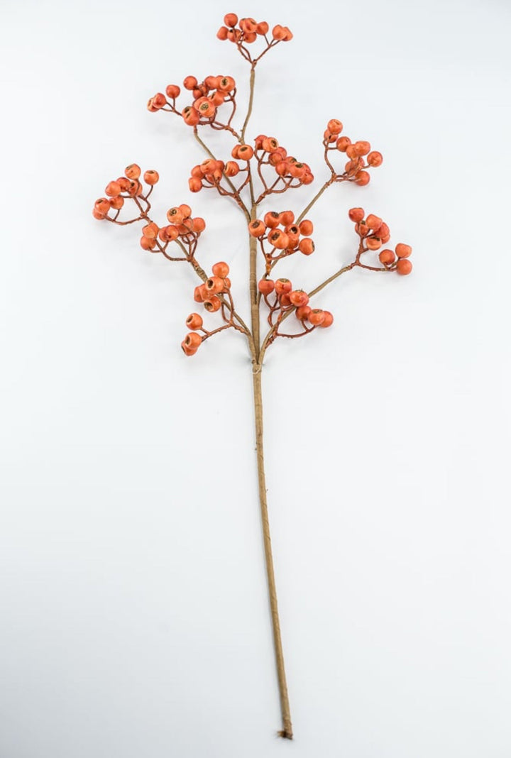 Orange Berry Spray - Greenery Market57213OR