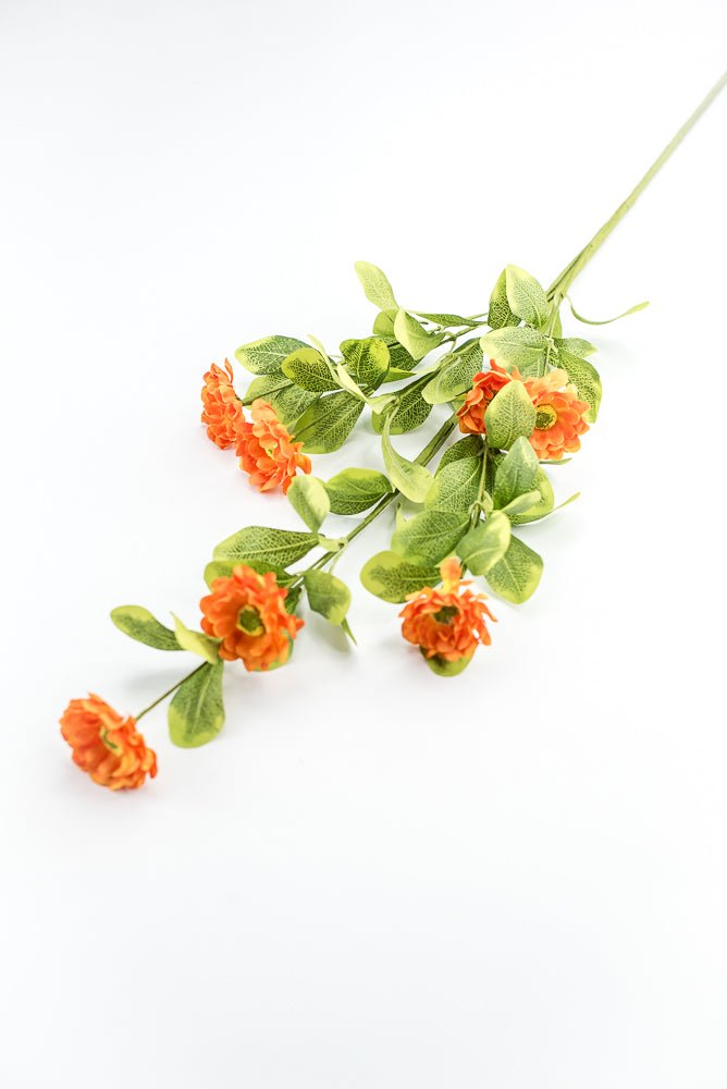 Orange Button Zinnia Spray - Greenery MarketMTF24321 ORNG