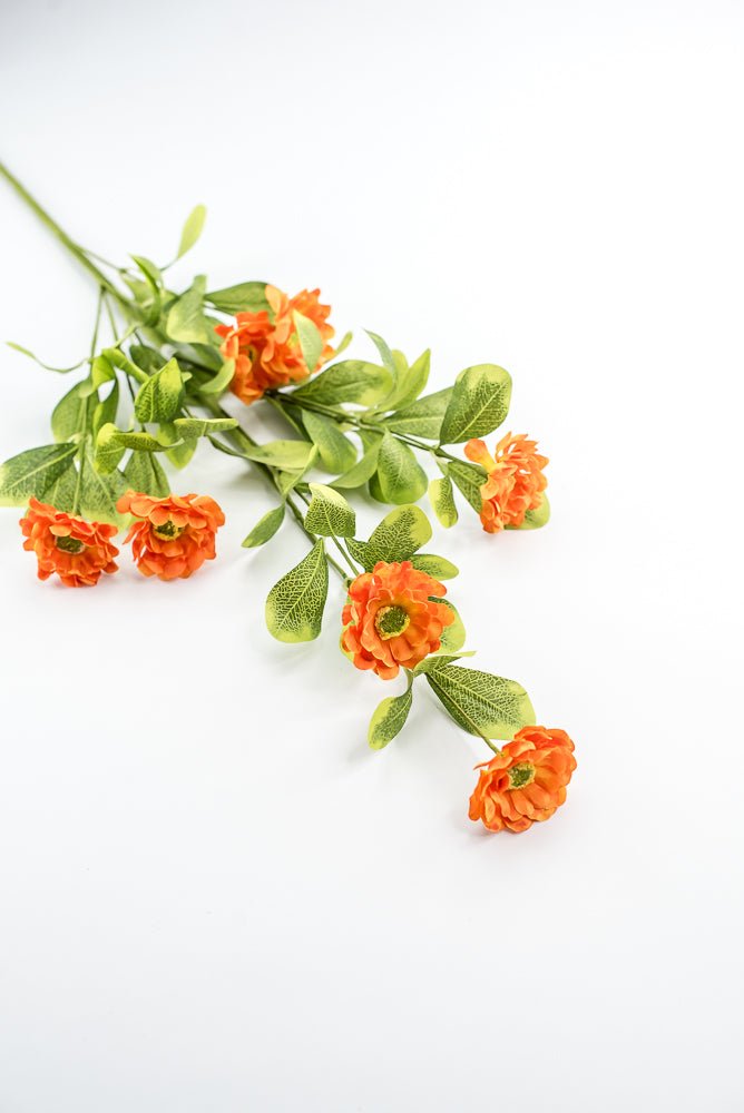 Orange Button Zinnia Spray - Greenery MarketMTF24321 ORNG
