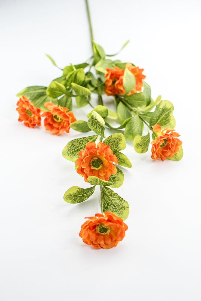 Orange Button Zinnia Spray - Greenery MarketMTF24321 ORNG