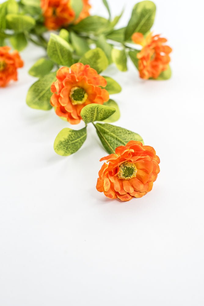Orange Button Zinnia Spray - Greenery MarketMTF24321 ORNG