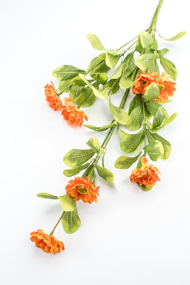 Orange Button Zinnia Spray - Greenery MarketMTF24321 ORNG