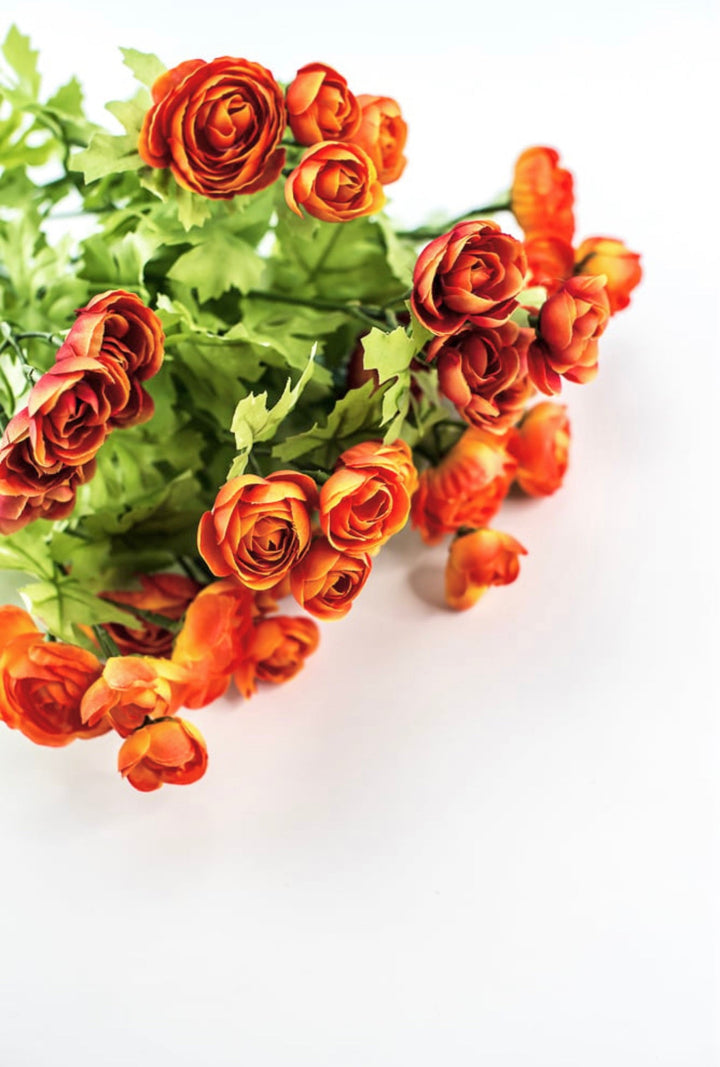 Orange mini ranunculus bush 16” - Greenery Market84399 - OR
