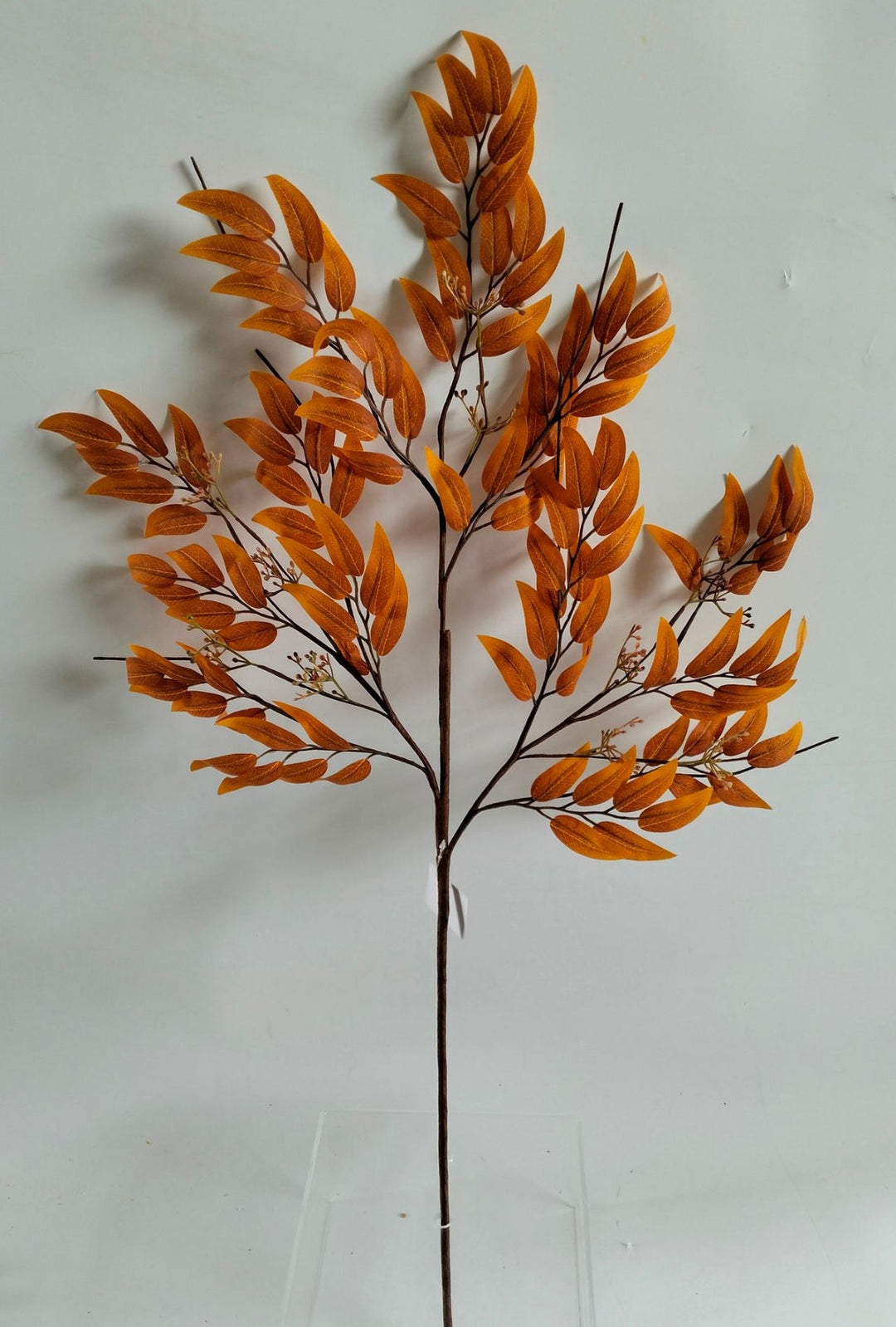 Orange Seed Eucalyptus Spray - Greenery Market40319 - OR