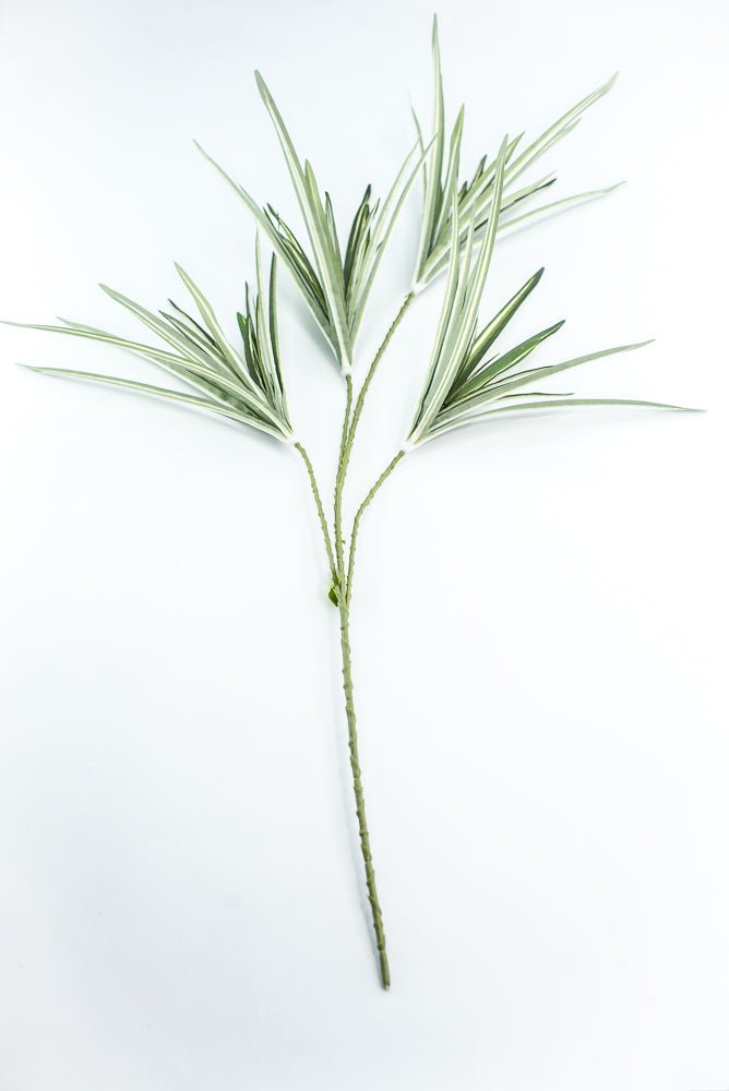 Orchid Grass Spray - Greenery Market13617VAGN