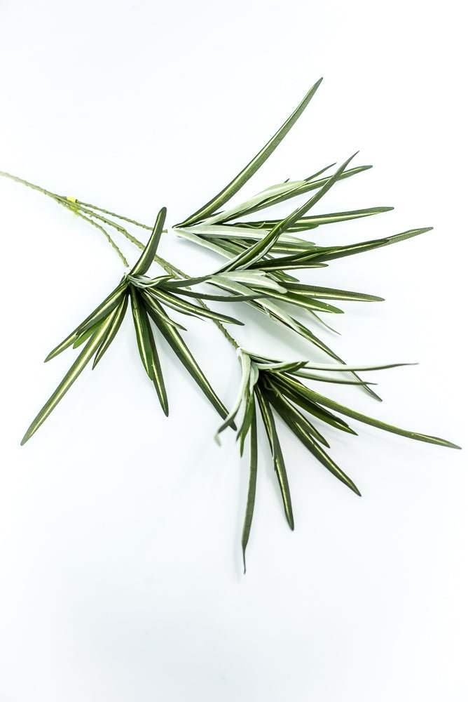 Orchid Grass Spray - Greenery Market13617VAGN