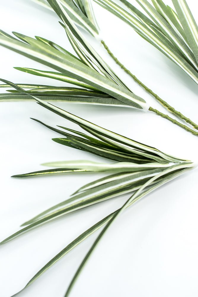 Orchid Grass Spray - Greenery Market13617VAGN