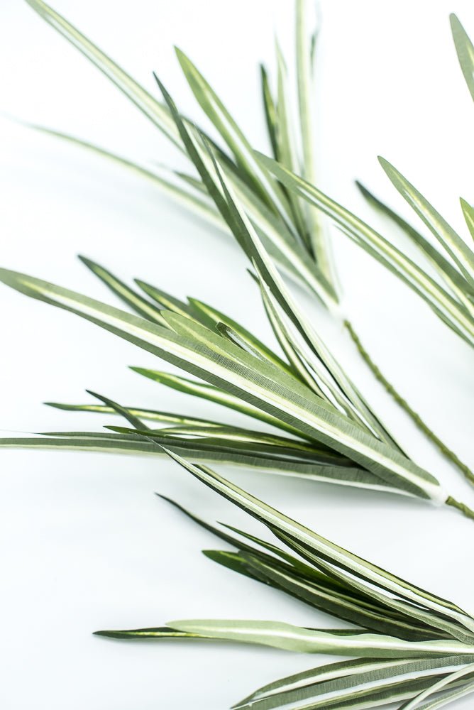 Orchid Grass Spray - Greenery Market13617VAGN