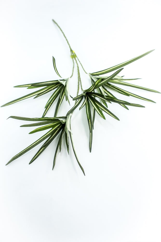 Orchid Grass Spray - Greenery Market13617VAGN
