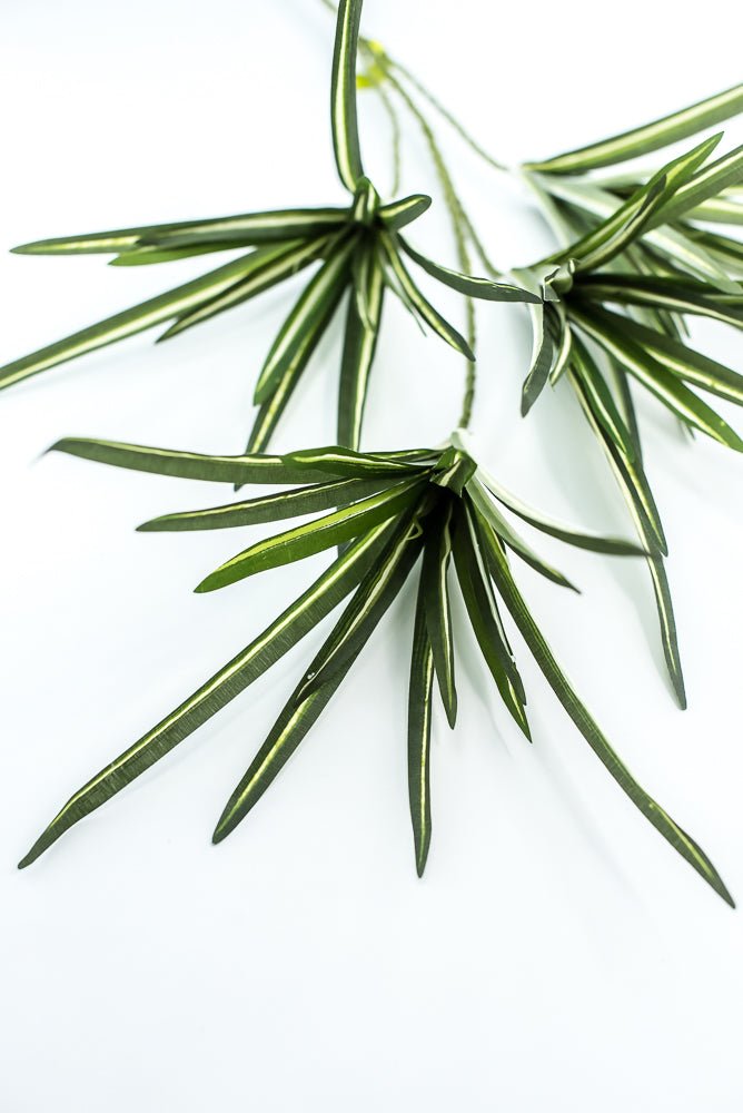 Orchid Grass Spray - Greenery Market13617VAGN