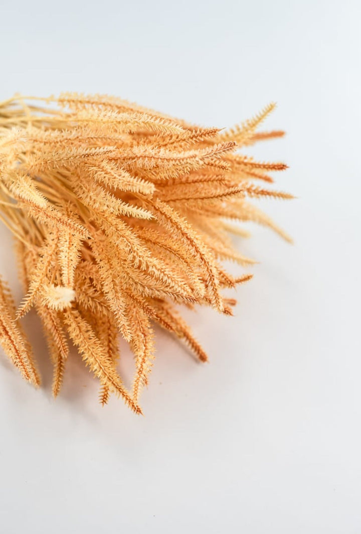 peach filler wheat bundle - Greenery Market2150141PE