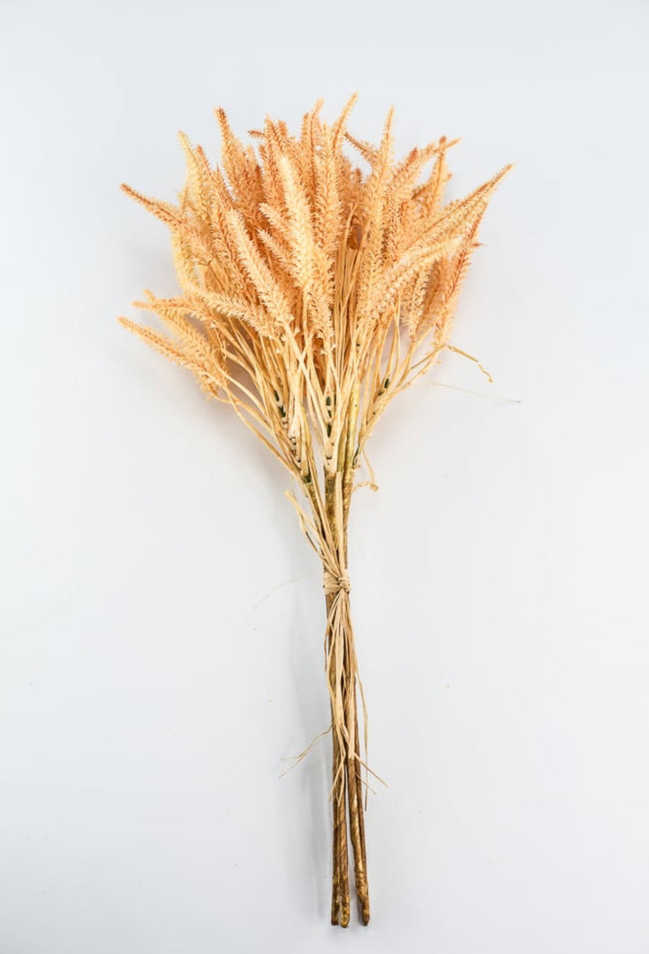 peach filler wheat bundle - Greenery Market2150141PE