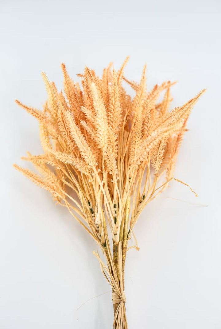 peach filler wheat bundle - Greenery Market2150141PE