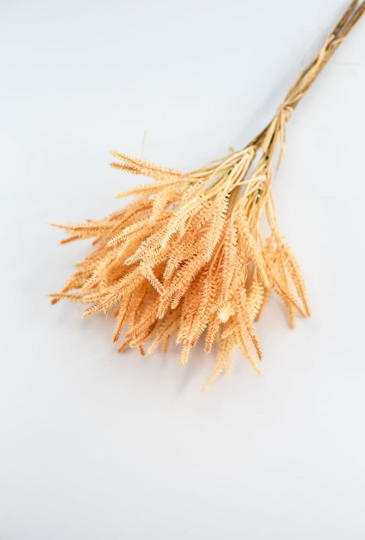 peach filler wheat bundle - Greenery Market2150141PE