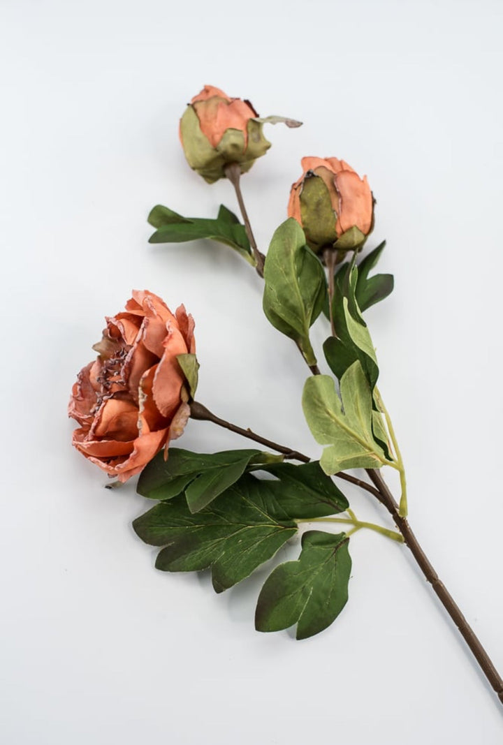 Peony spray - soft orange - Greenery Marketartificial flowers27856