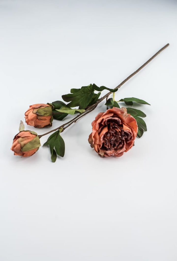 Peony spray - soft orange - Greenery Marketartificial flowers27856