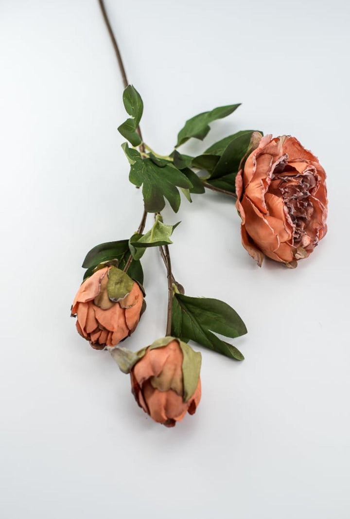 Peony spray - soft orange - Greenery Marketartificial flowers27856