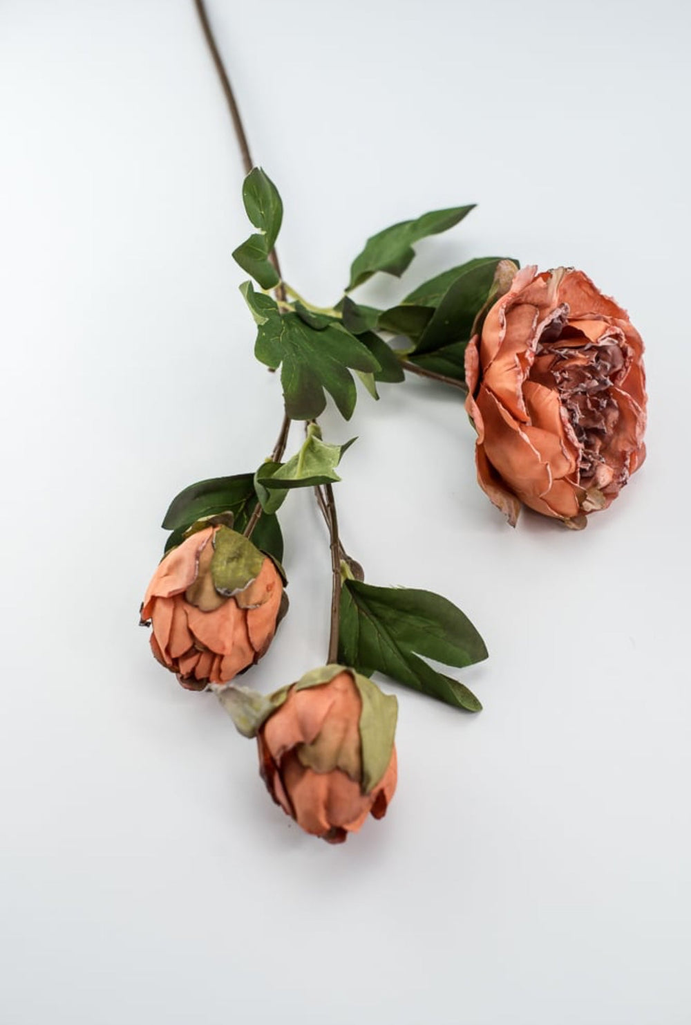 Peony spray - soft orange - Greenery Marketartificial flowers27856