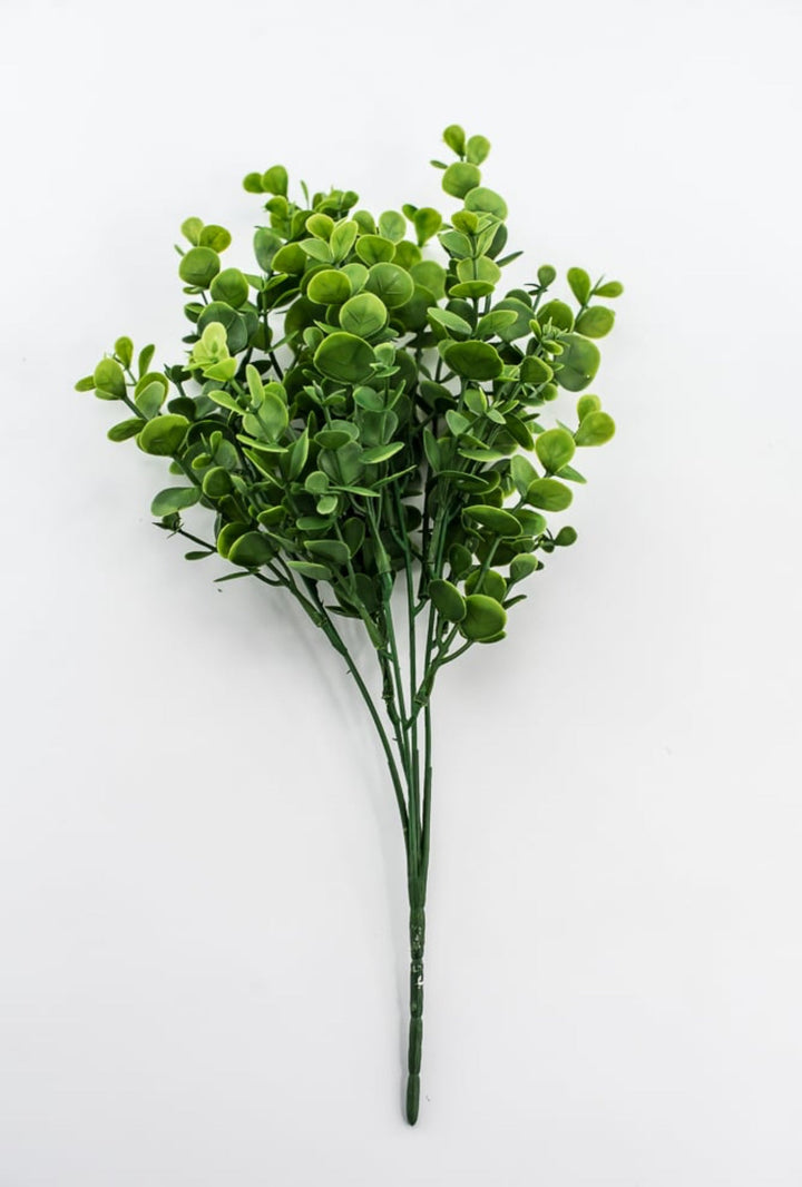 Petite Leaf Eucalyptus bush - fresh green - Greenery Market84815