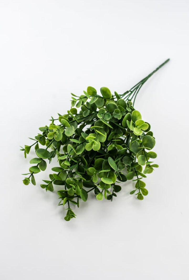 Petite Leaf Eucalyptus bush - fresh green - Greenery Market84815