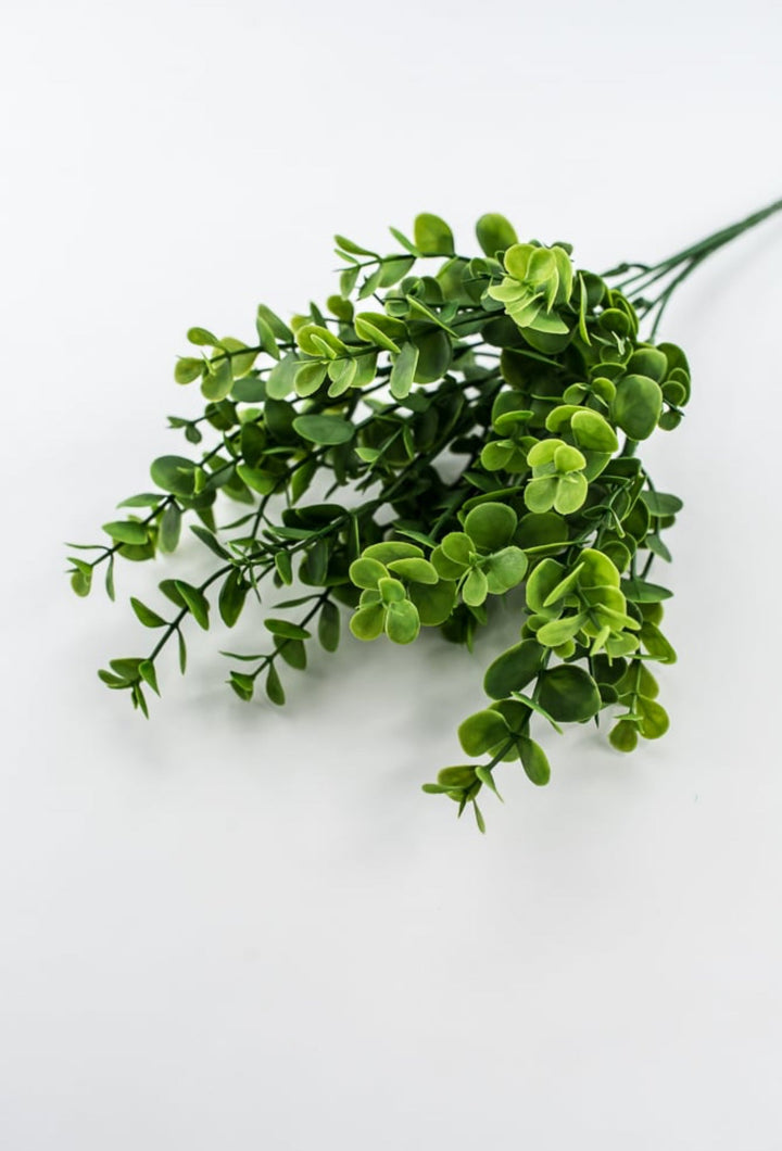 Petite Leaf Eucalyptus bush - fresh green - Greenery Market84815