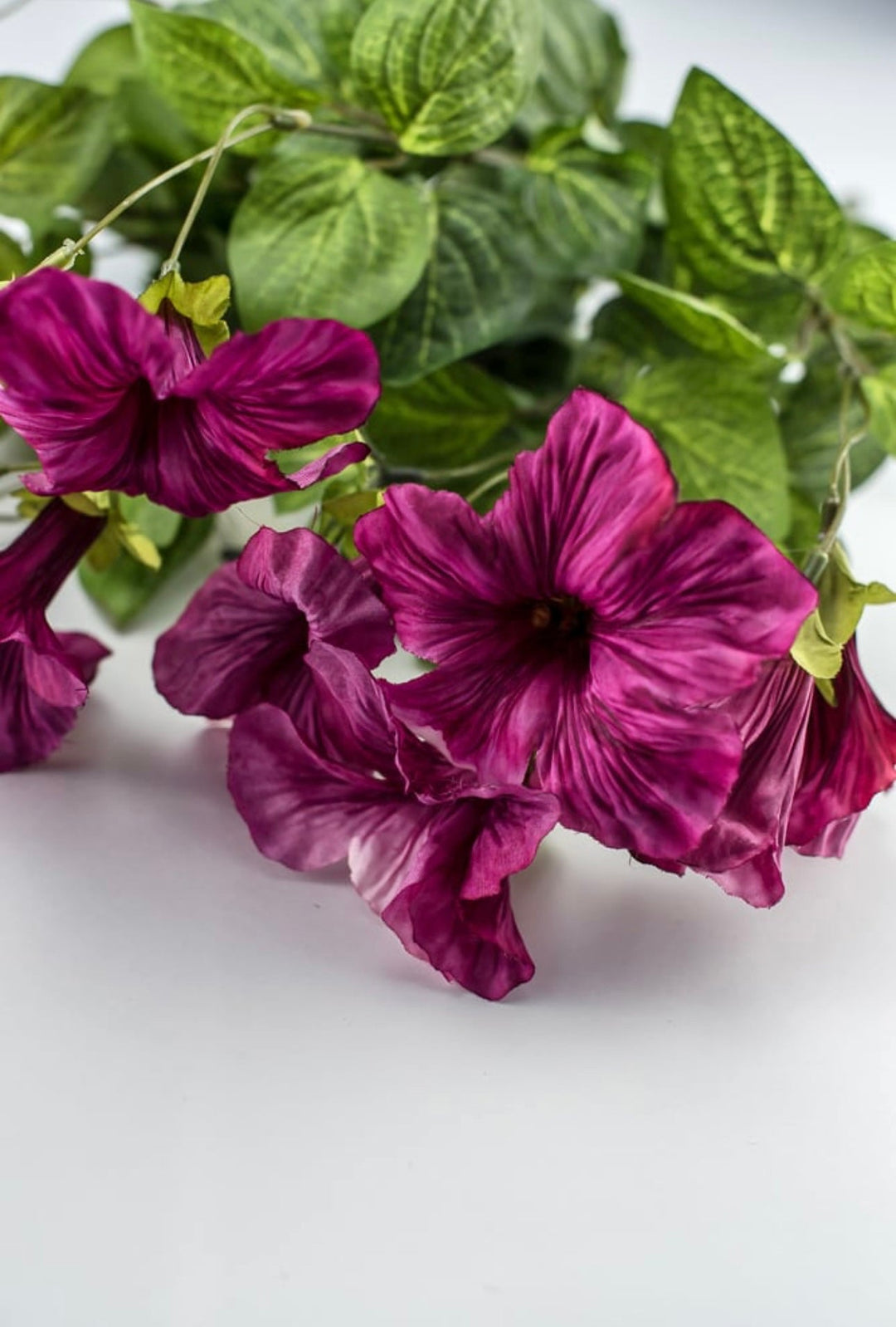 Petunia flowers, magenta pink - Greenery Marketartificial flowers25797