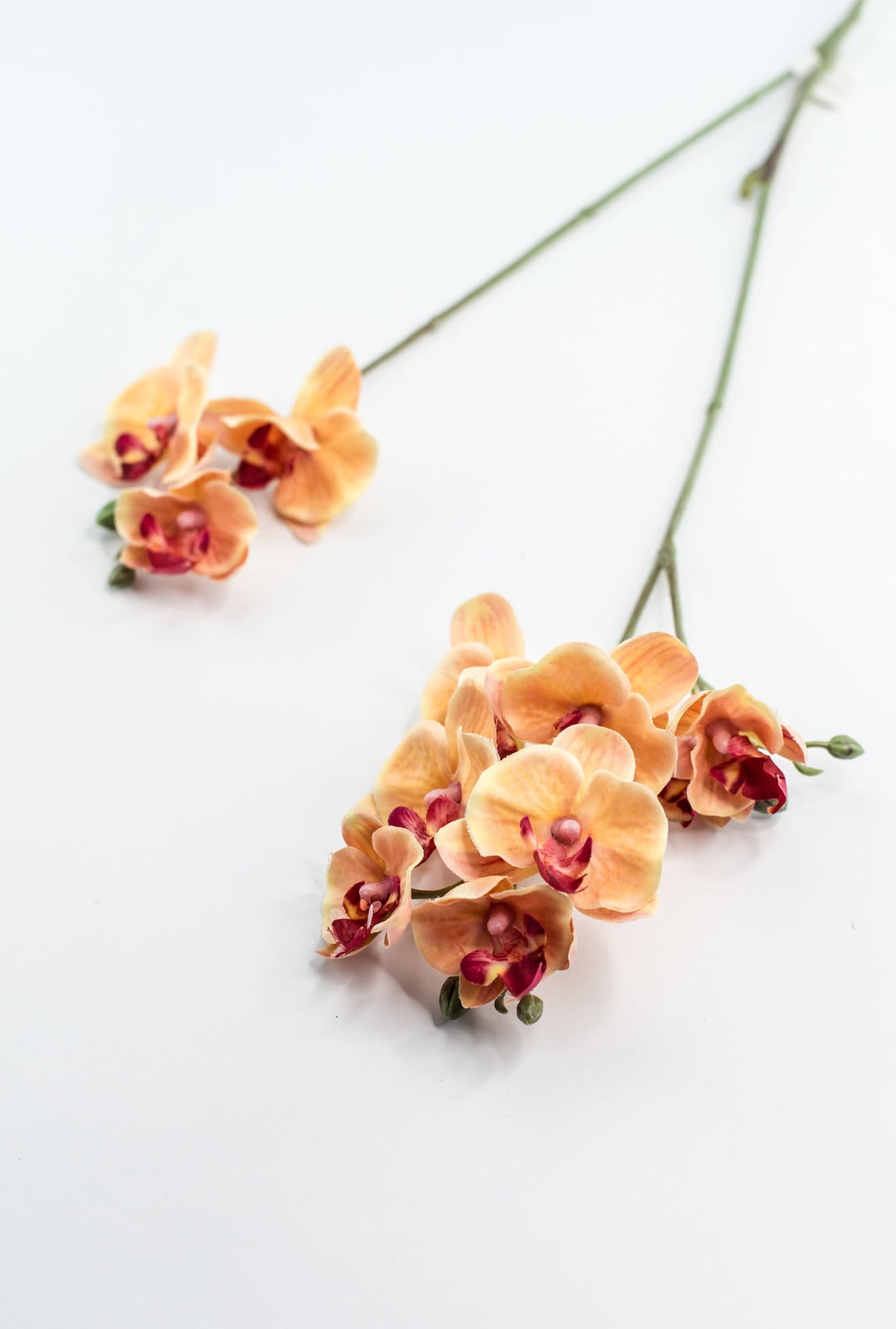Phalaenopsis, Mini Orchid Flower spray - orange - Greenery MarketArtificial Flora6481 - OG