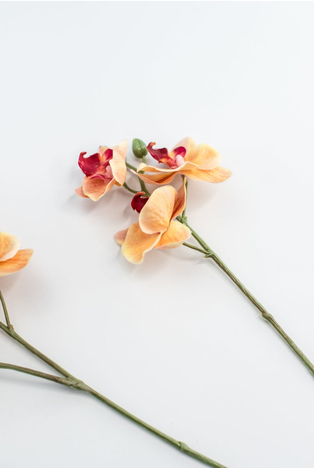Phalaenopsis, Mini Orchid Flower spray - orange - Greenery MarketArtificial Flora6481 - OG
