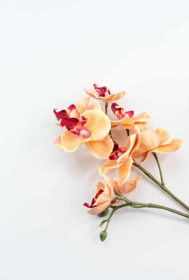 Phalaenopsis, Mini Orchid Flower spray - orange - Greenery MarketArtificial Flora6481 - OG