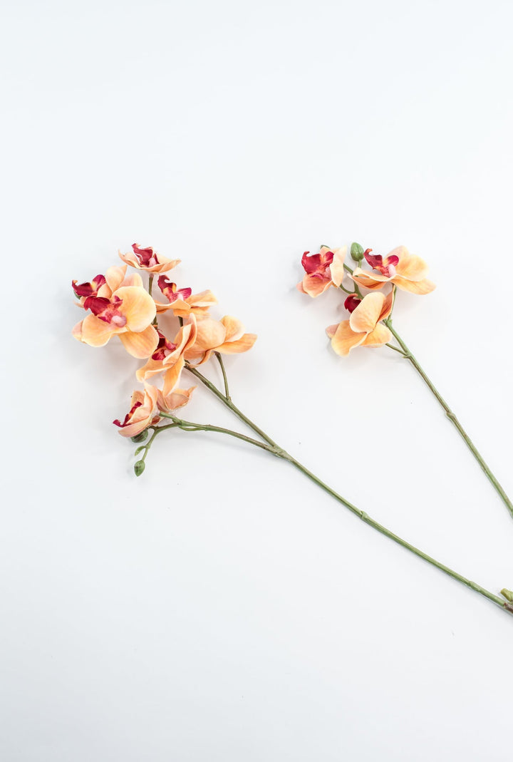 Phalaenopsis, Mini Orchid Flower spray - orange - Greenery MarketArtificial Flora6481 - OG