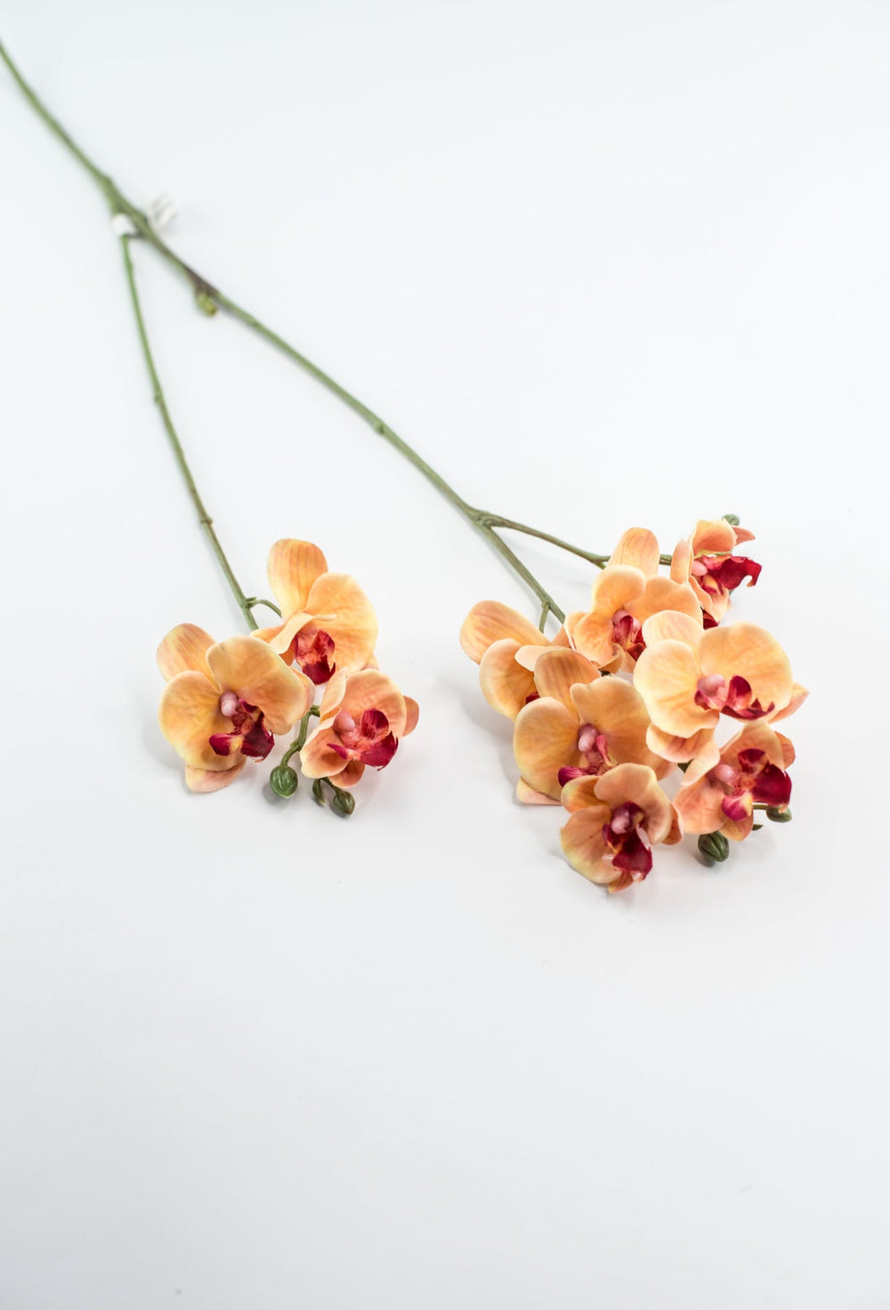Phalaenopsis, Mini Orchid Flower spray - orange - Greenery MarketArtificial Flora6481 - OG