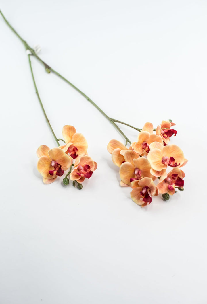 Phalaenopsis, Mini Orchid Flower spray - orange - Greenery MarketArtificial Flora6481 - OG