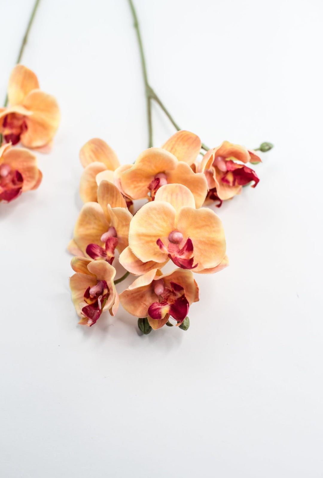 Phalaenopsis, Mini Orchid Flower spray - orange - Greenery MarketArtificial Flora6481 - OG