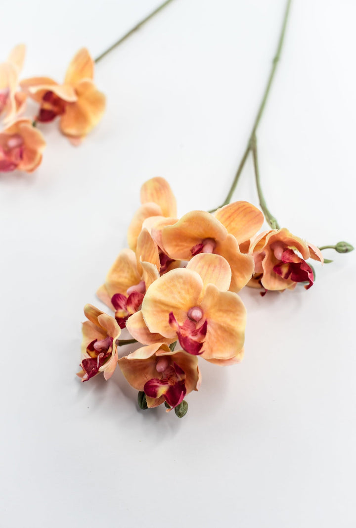 Phalaenopsis, Mini Orchid Flower spray - orange - Greenery MarketArtificial Flora6481 - OG
