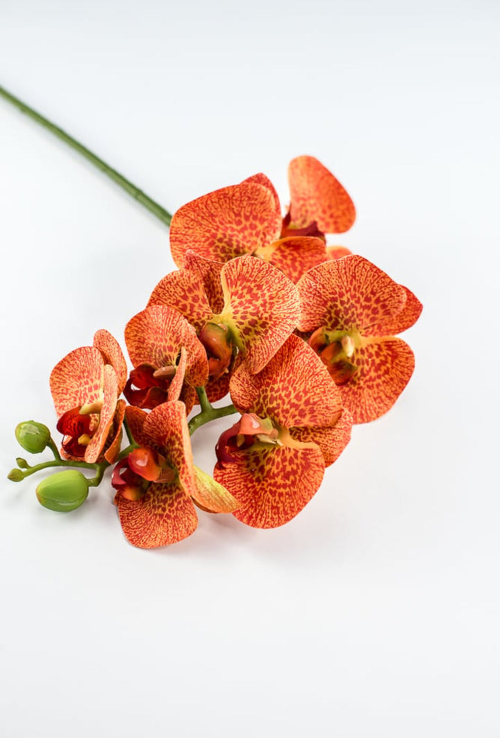 phalaenopsis, orchid Flower spray - bright orange - Greenery MarketArtificial FloraMTF20032 ORNG